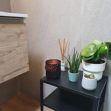 Suite Citta Giardino Loft Apartment